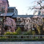 京都の繁華街情報